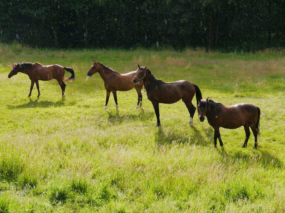 mit der G3 unterwegs...