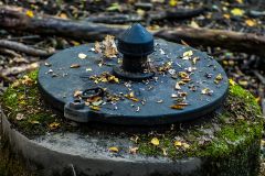 Brunnen im Wald