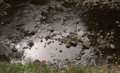 Wutach