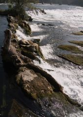 Rheinfall