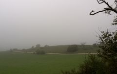 Hohentwiel 2
