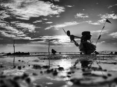 8376444307 5589fe43da b