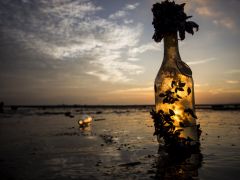 8481076573 8b32f785cf b