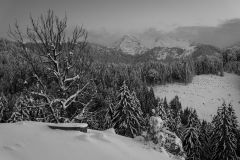 Aussicht von der Kalzhofner Höhe (1118 m) im Westallgäu.