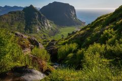 Am Berg Himmeltindan auf der Insel Vestvågøy, Lofoten.