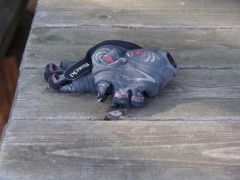 P7100150 - beim Hochladen verkleinert