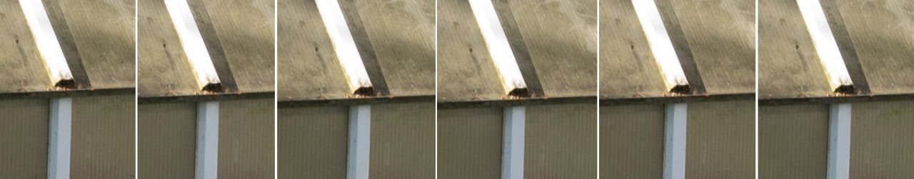 Olympus E-M1 Testfotos