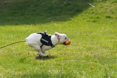 20130322 DSC01089