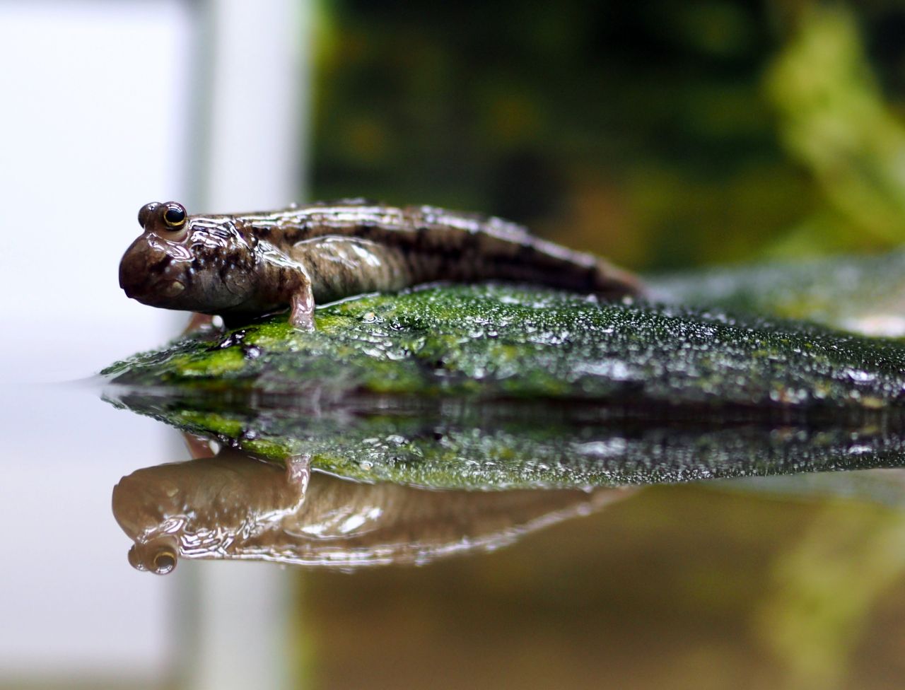 Bilder mit der Olympus OM-D E5