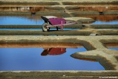 Salinen von Guerande