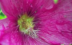 Erste Testaufnahmen mit der OM D EM 10