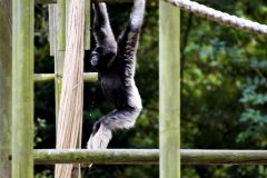 DSC00144 jiwphotoscape