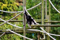 DSC00126 jiwphotoscape