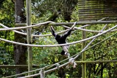 DSC00153 jiwphotoscape