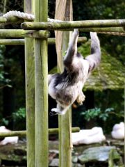 DSC00157 jiwphotoscape