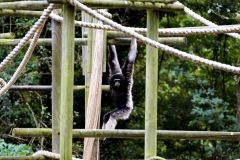 DSC00146 jiwphotoscape