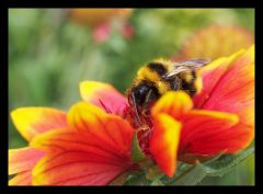 P8170028 bearbeitet 1