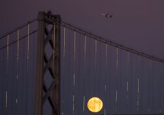 bay bridge & supermond