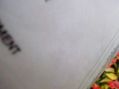 tsts