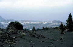 La Palma