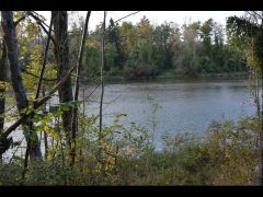 isarausflug,9.10.2015 (18)