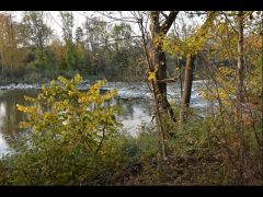 isarausflug,9.10.2015 (24)