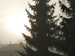 Morgennebel