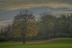 DSC2903 HDR Bearbeitet