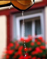 Stadtrundgang im strömenden Regen - Fotokurs