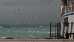 Bosporus