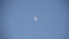 Mond, 140 mm, Digital Zoom 2x