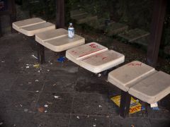 f 5,6 sieht geblitzt aus, ist aber reine sonne