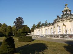 Morgens im Park   4
Bildergalerie mit Buxbaum