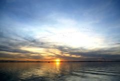 Hiddensee 10/09   03
Nette Perspektive so knapp über dem Wasser und durch die Scheibe