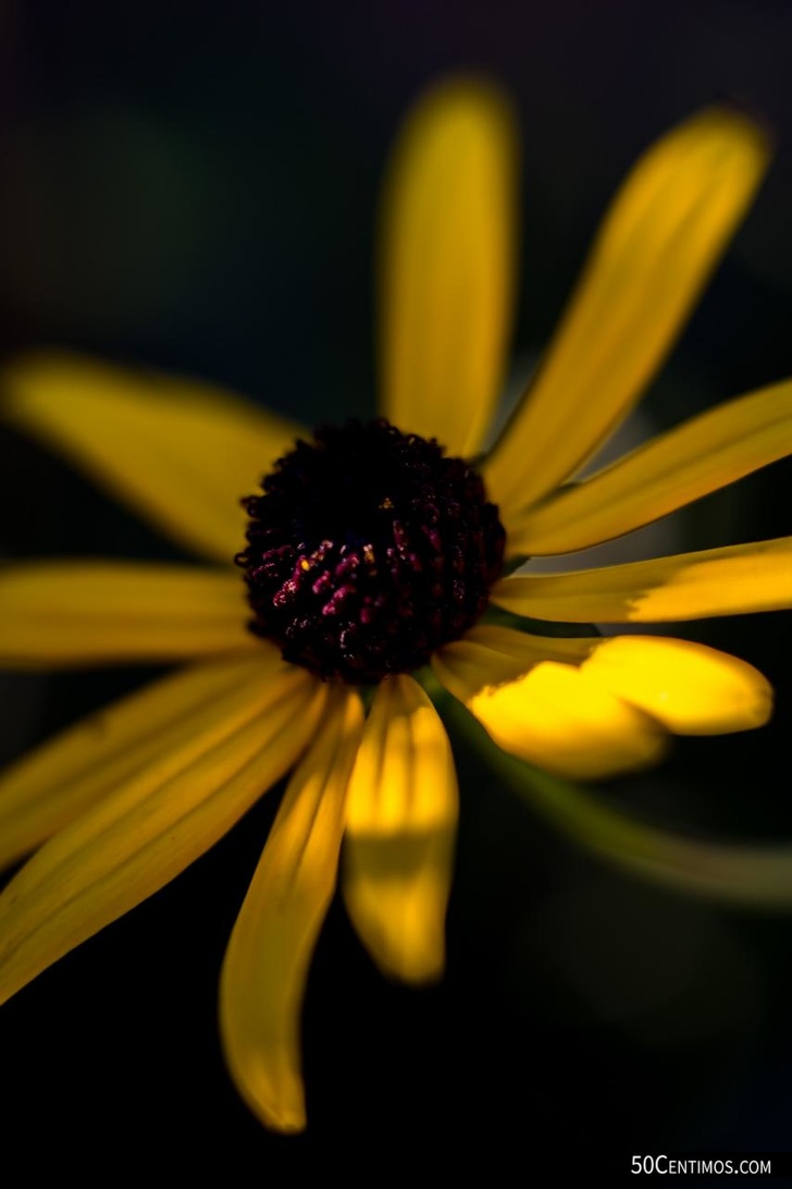 post-84172-0-04688100-1445797714_thumb.j