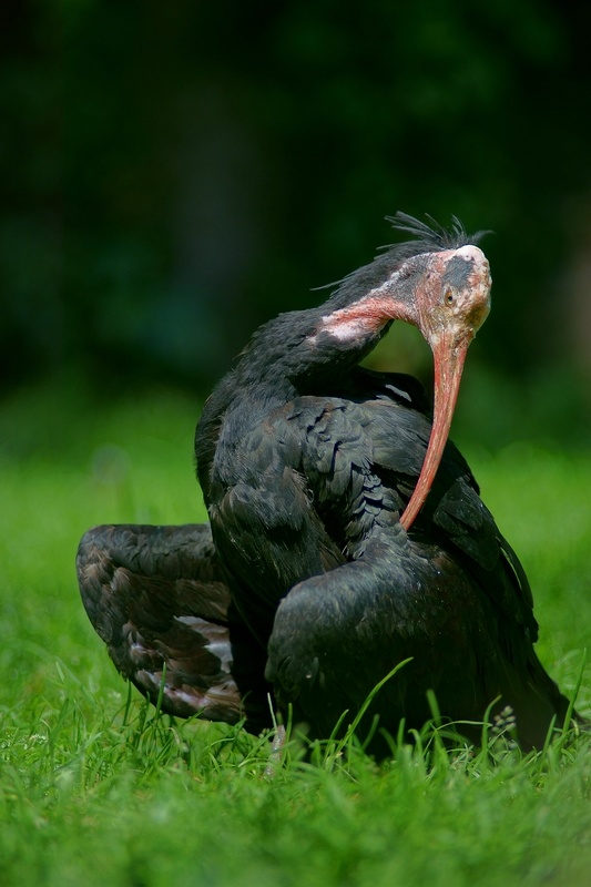 post-80299-0-27943400-1418672239_thumb.j