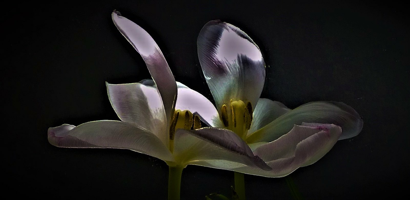 Ein kleines bisschen Glück