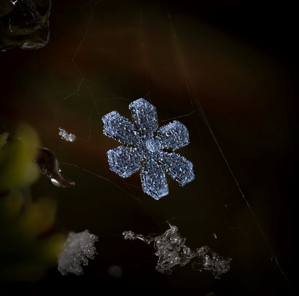 Flocke12 (wow)-topaz.jpg